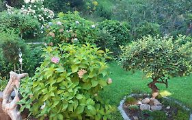 Top Garden View